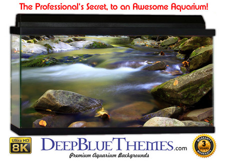 Buy Aquarium Background Riverrocks Leaves Aquarium Background