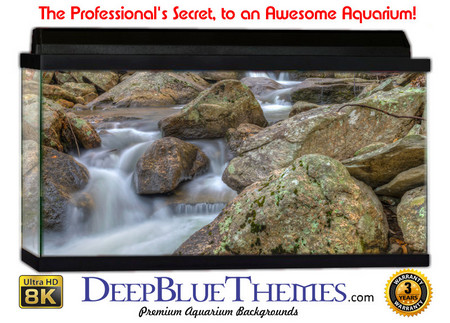 Buy Aquarium Background Riverrocks Mist Aquarium Background
