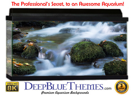 Buy Aquarium Background Riverrocks Moss Aquarium Background
