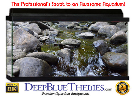 Buy Aquarium Background Riverrocks Nice Aquarium Background