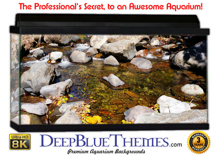 Buy Aquarium Background Riverrocks Pool Aquarium Background