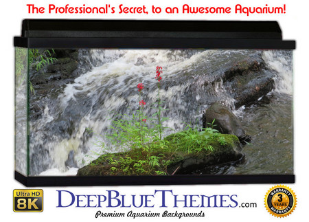 Buy Aquarium Background Riverrocks Single Aquarium Background