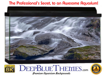 Buy Aquarium Background Riverrocks Speed Aquarium Background