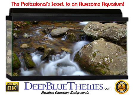Buy Aquarium Background Riverrocks Virgin Aquarium Background