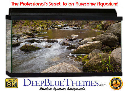 Buy Aquarium Background Riverrocks Wild Aquarium Background
