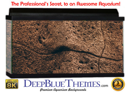 Buy Aquarium Background Rock Ancient Aquarium Background