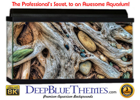 Buy Aquarium Background Rock Branch Aquarium Background