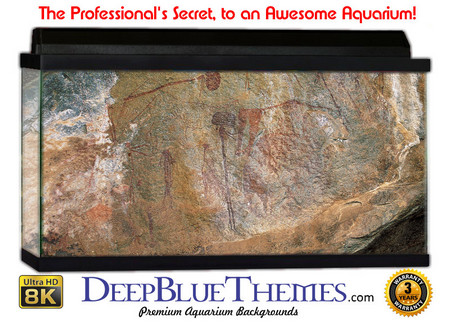 Buy Aquarium Background Rock Bump Aquarium Background