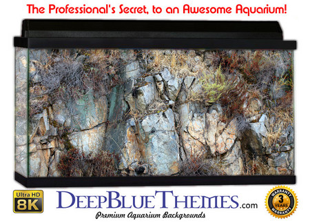 Buy Aquarium Background Rock Carve Aquarium Background