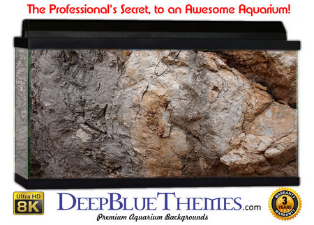Buy Aquarium Background Rock Cave Aquarium Background