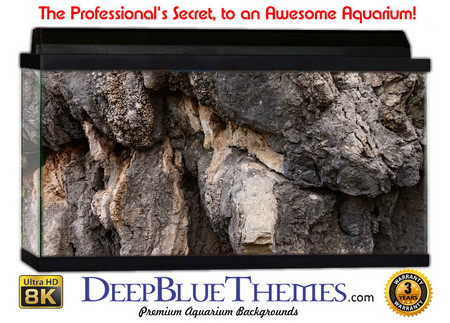 Buy Aquarium Background Rock Character Aquarium Background