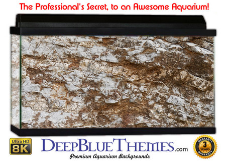 Buy Aquarium Background Rock Chip Aquarium Background