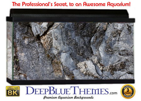 Buy Aquarium Background Rock Climb Aquarium Background