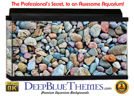 Buy Aquarium Background Rock Colors Aquarium Background