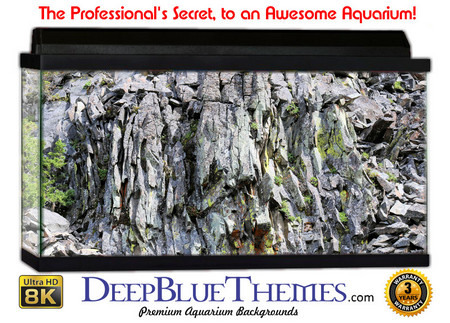Buy Aquarium Background Rock Cool Aquarium Background