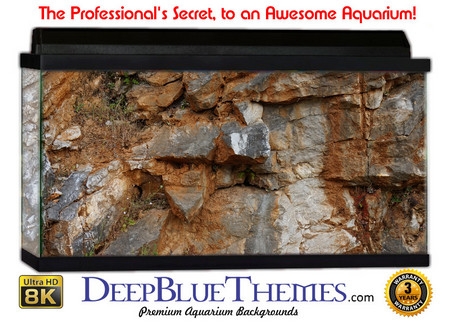 Buy Aquarium Background Rock Crisp Aquarium Background