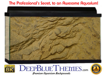 Buy Aquarium Background Rock Dusty Aquarium Background