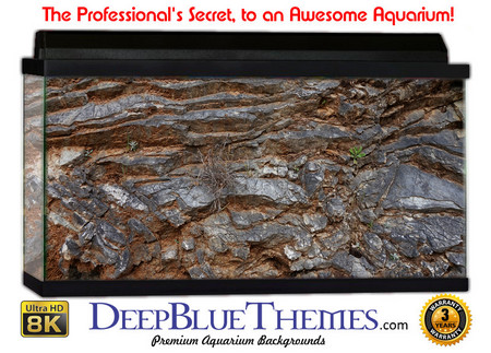 Buy Aquarium Background Rock Edge Aquarium Background