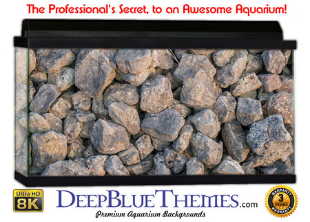 Buy Aquarium Background Rock Fragment Aquarium Background