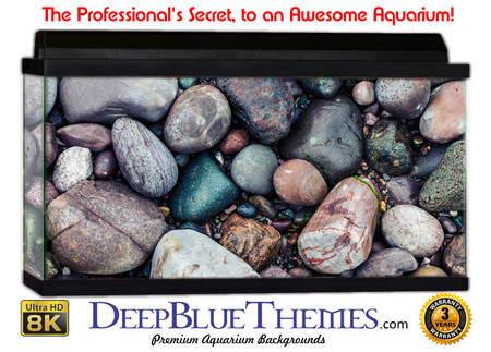 Buy Aquarium Background Rock Handful Aquarium Background