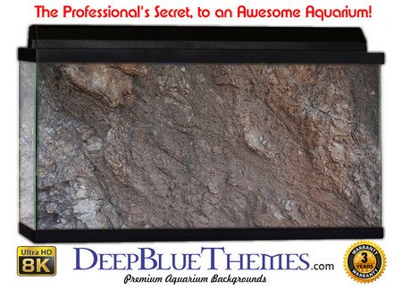 Buy Aquarium Background Rock Hard Aquarium Background
