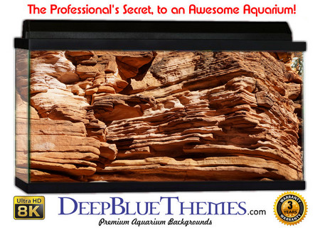 Buy Aquarium Background Rock King Aquarium Background
