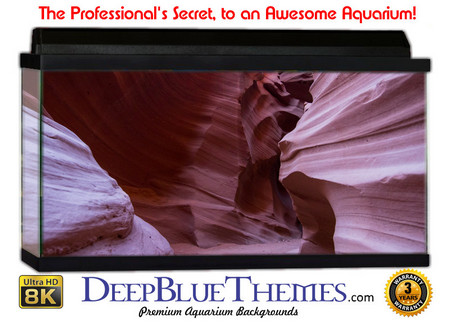 Buy Aquarium Background Rock Path Aquarium Background