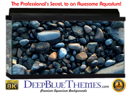 Buy Aquarium Background Rock Polished Aquarium Background