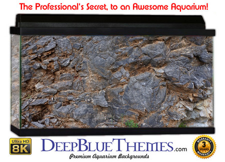 Buy Aquarium Background Rock Road Aquarium Background