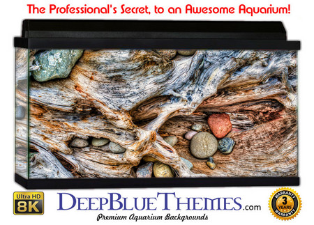 Buy Aquarium Background Rock Roots Aquarium Background