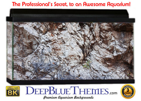 Buy Aquarium Background Rock Shine Aquarium Background