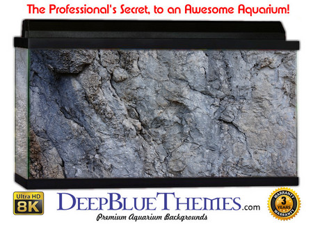 Buy Aquarium Background Rock Smooth Aquarium Background
