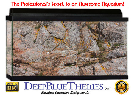 Buy Aquarium Background Rock Tall Aquarium Background
