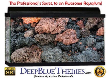 Buy Aquarium Background Rock Volcanic Aquarium Background
