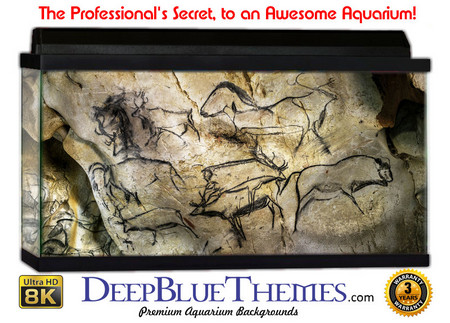 Buy Aquarium Background Rock Writing Aquarium Background