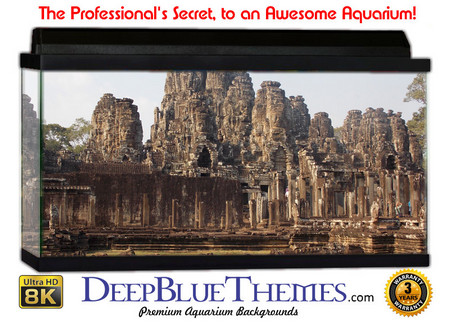 Buy Aquarium Background Ruins Anthill Aquarium Background