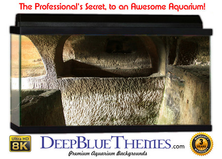 Buy Aquarium Background Ruins Archroom Aquarium Background