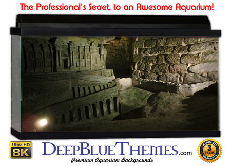 Buy Aquarium Background Ruins Area Aquarium Background