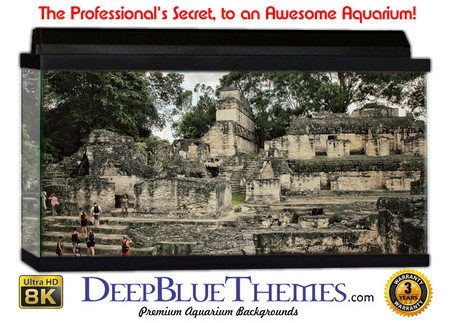 Buy Aquarium Background Ruins Ascend Aquarium Background