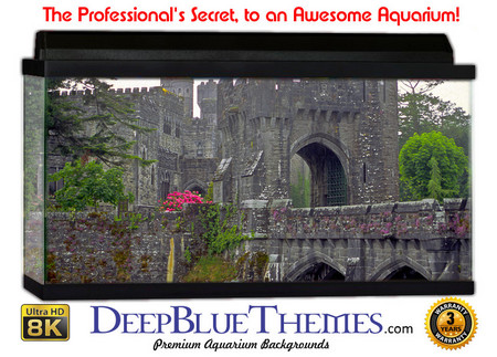 Buy Aquarium Background Ruins Ashford Aquarium Background