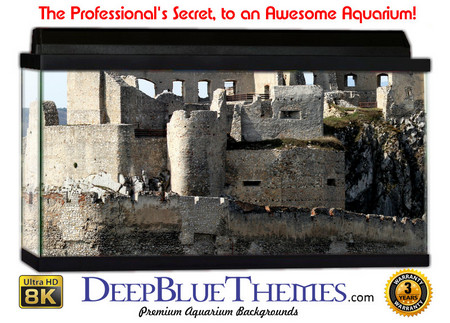 Buy Aquarium Background Ruins Beckov Aquarium Background
