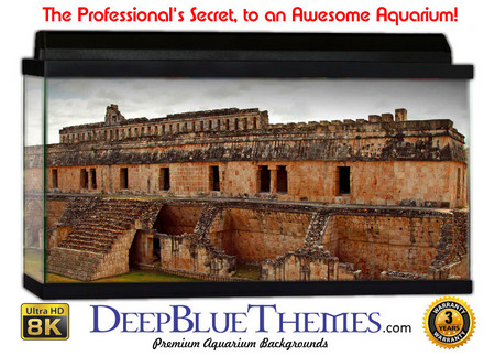 Buy Aquarium Background Ruins Building Aquarium Background