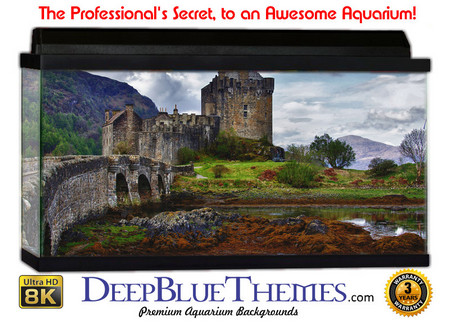Buy Aquarium Background Ruins Castle Aquarium Background
