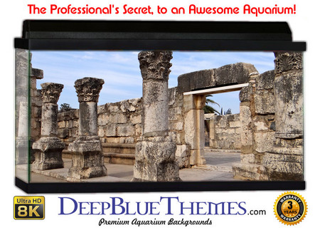 Buy Aquarium Background Ruins Chess Aquarium Background