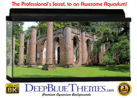 Buy Aquarium Background Ruins Church Aquarium Background