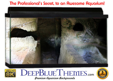 Buy Aquarium Background Ruins Cracked Aquarium Background