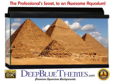 Buy Aquarium Background Ruins Crossing Aquarium Background
