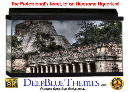 Buy Aquarium Background Ruins Dark Aquarium Background