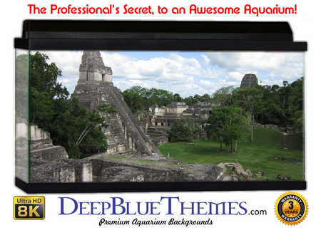Buy Aquarium Background Ruins Distant Aquarium Background