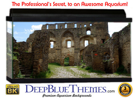 Buy Aquarium Background Ruins Driveway Aquarium Background